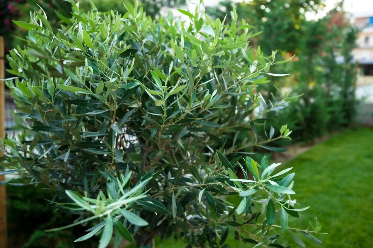 Peraía Olive 201 아파트 그리스